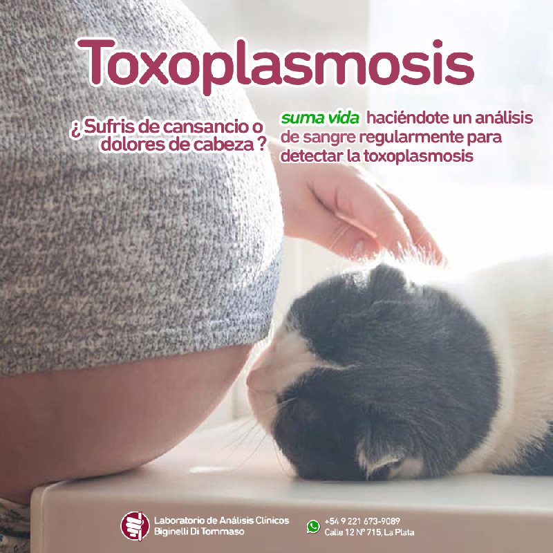 2019-09-09-toxoplasmosis.jpg