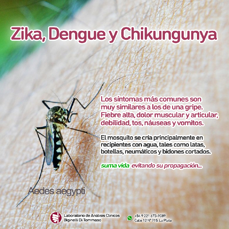 2019-09-16-dengue.jpg